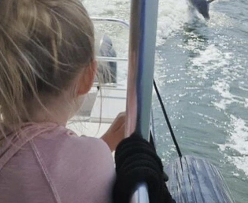 Beaufort Ocean Explorers • Grades K-3